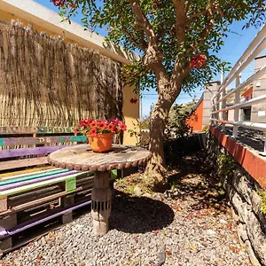  Gospodarstwo wiejskie Casa Camelias